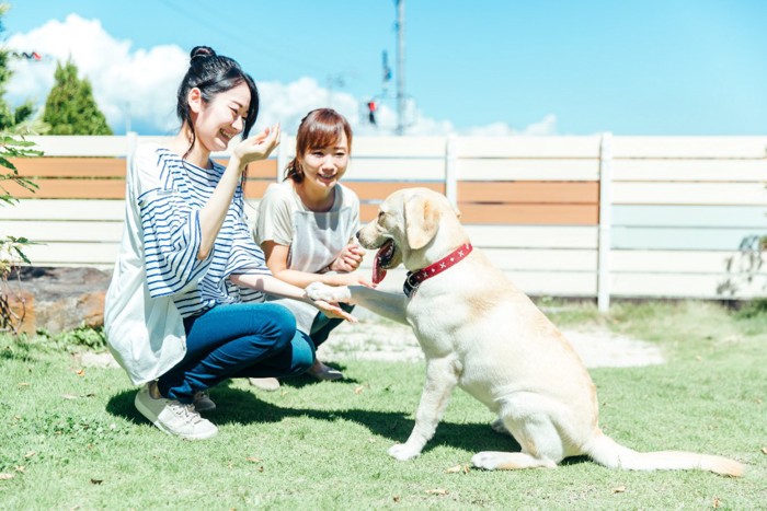 犬と遊ぶ女性2人