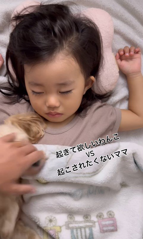 お昼寝中の女の子を起こしたいココちゃん8