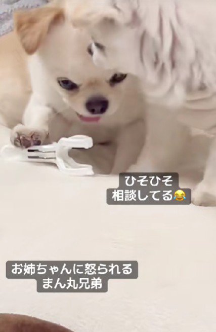 「お姉ちゃんも昔は…」