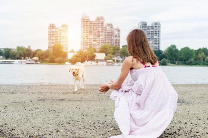 ビーチで犬を呼ぶ女性