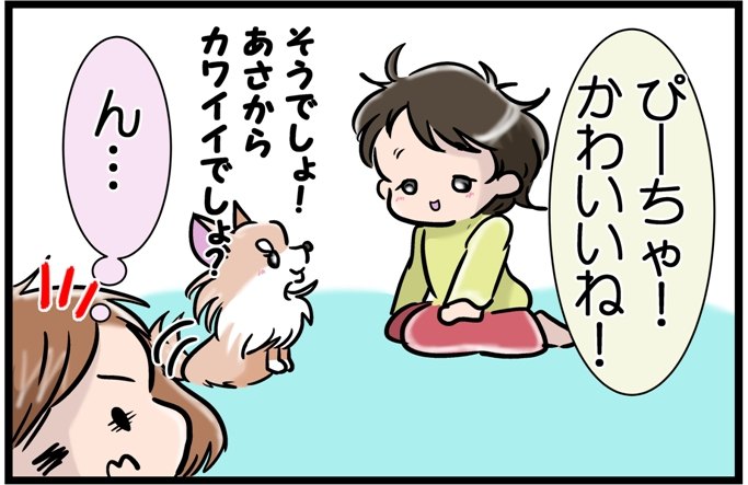 かわうそチワワ1コマ