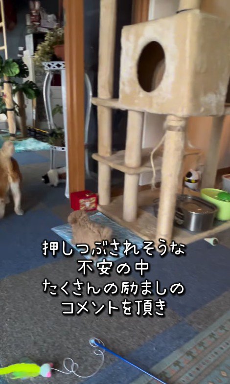 みらいちゃんが元気になるまで4