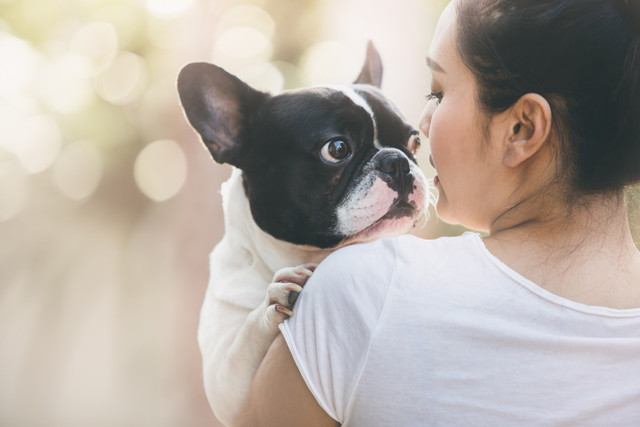 抱っこされてる犬