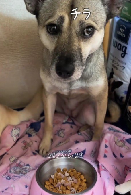 お父さんに甘えた表情