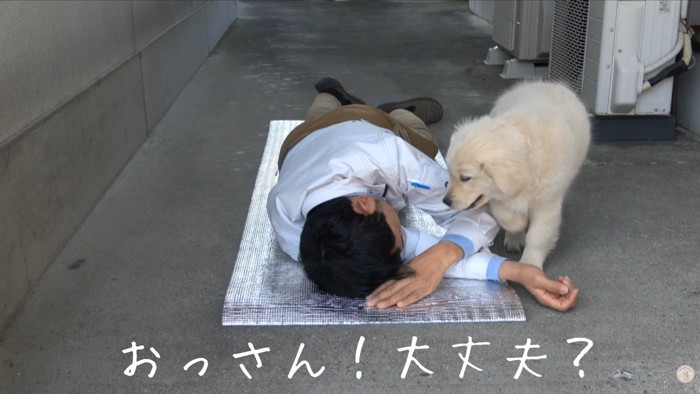 心配してくれるメイちゃん