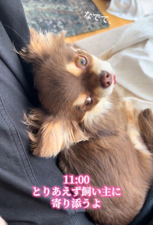 甘えん坊で可愛い！