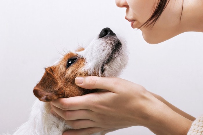 キスされそうな犬