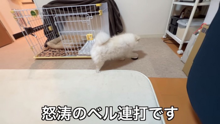 右手でもベル連打するペコちゃん