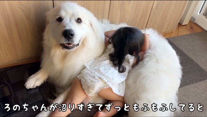 白い大型犬の背中に顔を埋める女の子