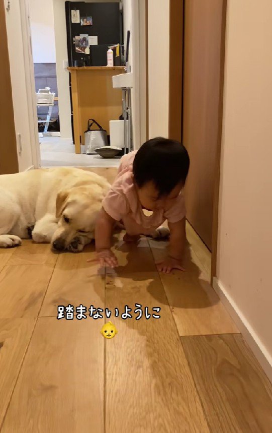 踏まないように通過！