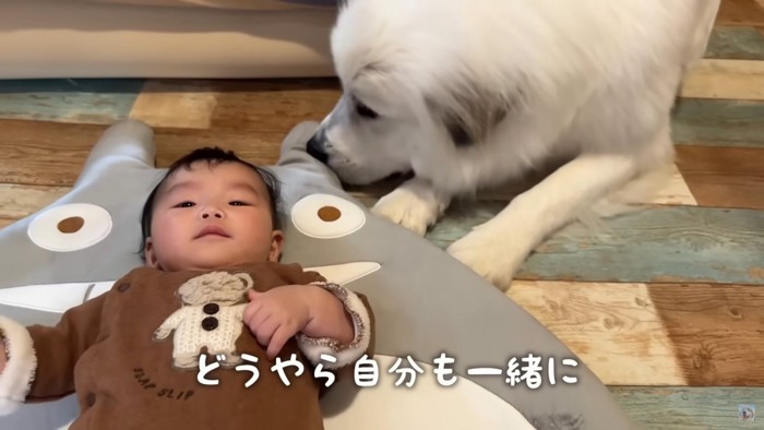 赤ちゃんと添い寝したい