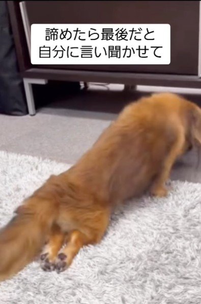 持病で手術が出来ず…