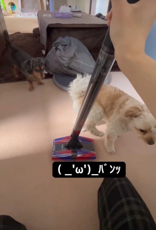 後ろ足を上げるモルくん