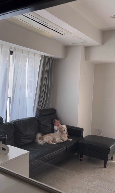 こたつ君と赤ちゃんの日常3