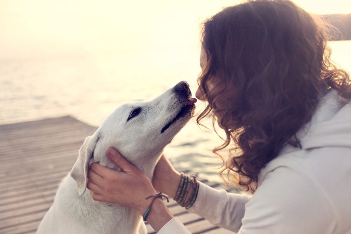 女性の顔をなめる白い犬