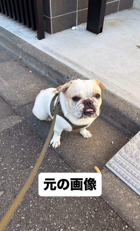 みやびちゃんを馬に加工2