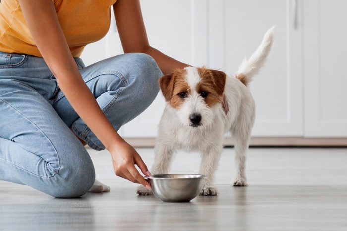 ドッグフードを与える女性と犬