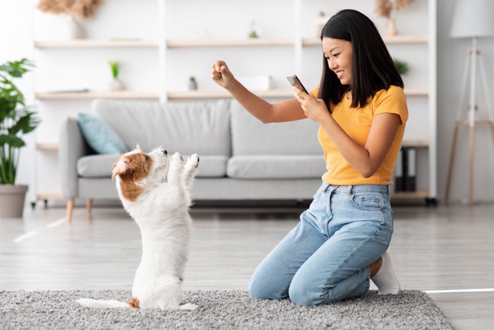 両前足を上げる犬とトリーツとスマホをもつ女性