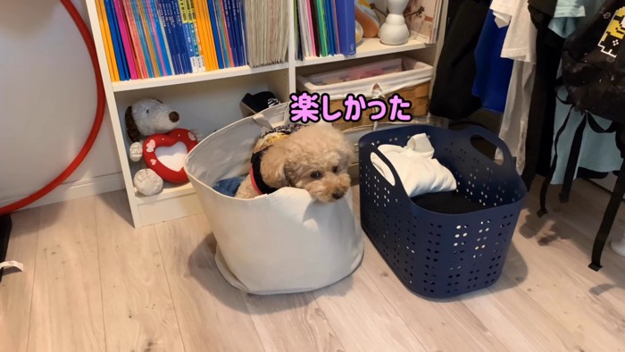 いちごちゃんも満足そう♪