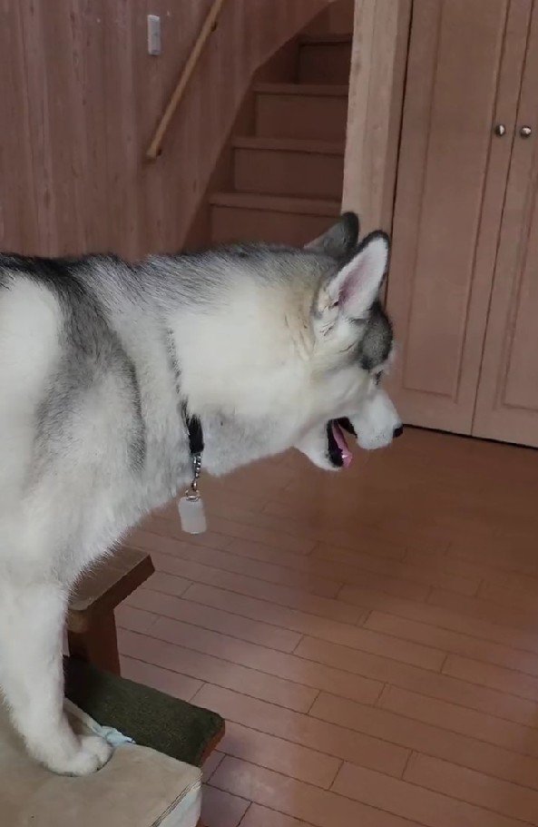 「見ろよあの2匹(笑)」