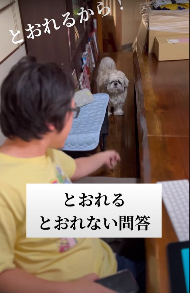 「通れるから」という人と犬