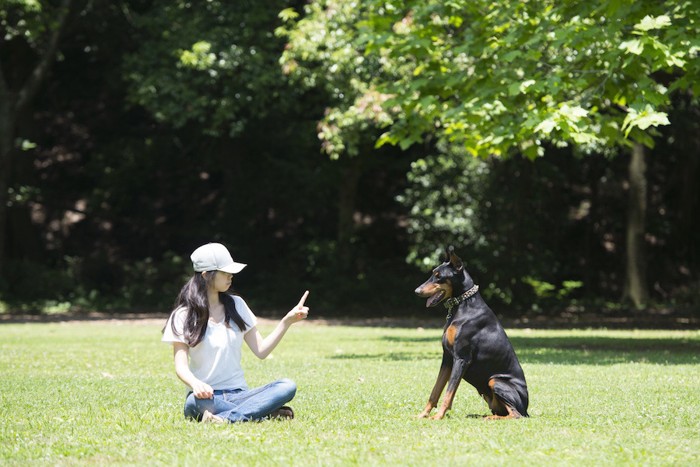 座って指示を出す女性と犬