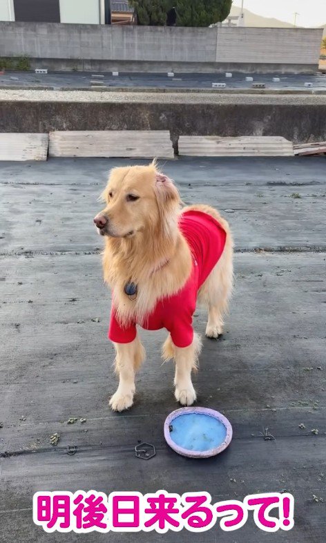寂しくてしょんぼり