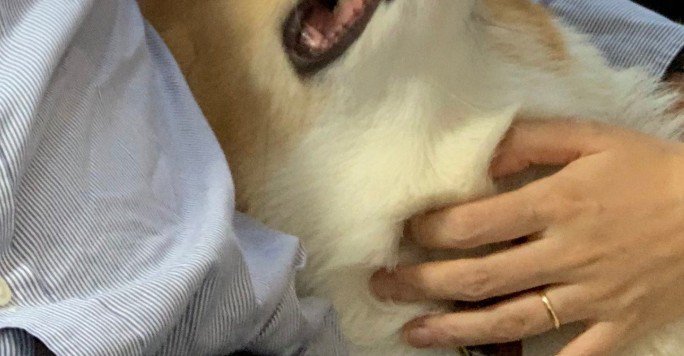 「可愛く撮れるかな？」
