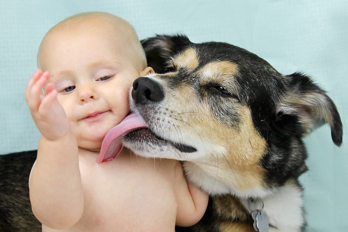 赤ちゃんの顔を舐める犬