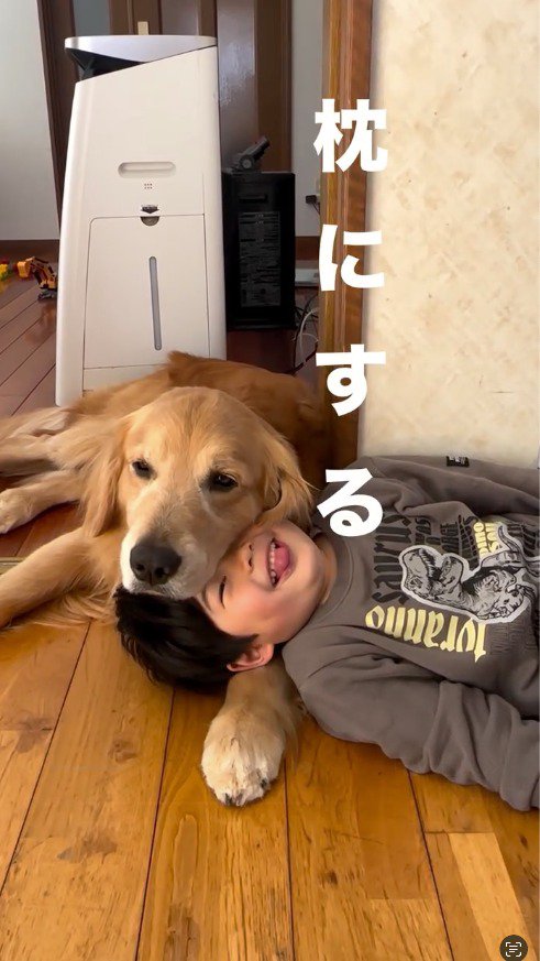 犬の行動を見て笑う飼い主