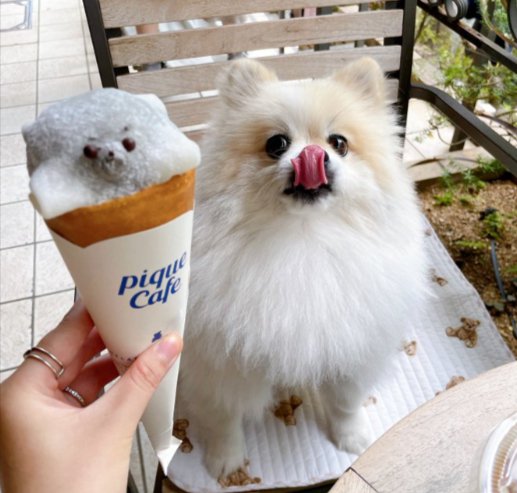 可愛いショット