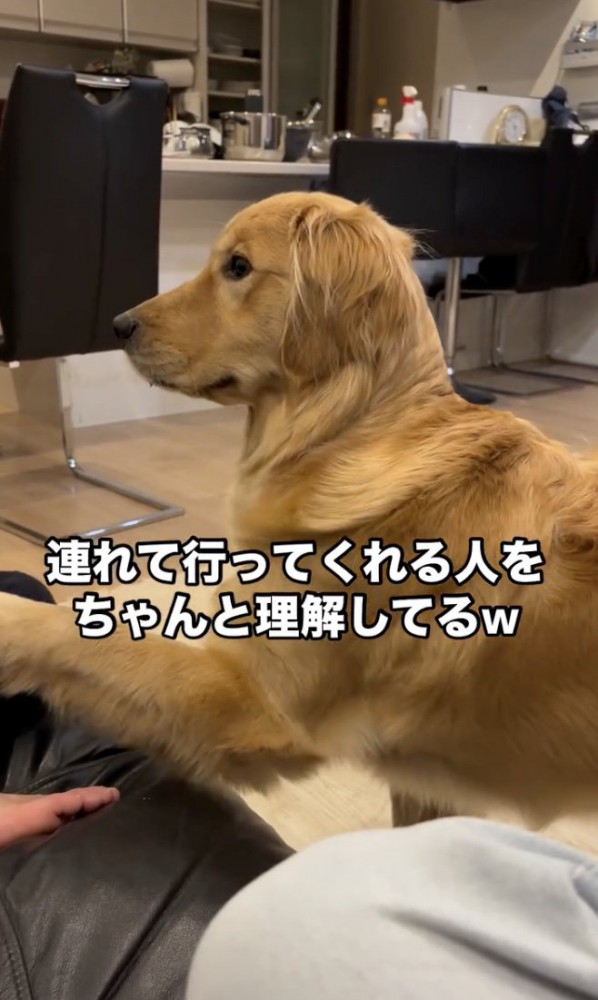 「ねぇ」