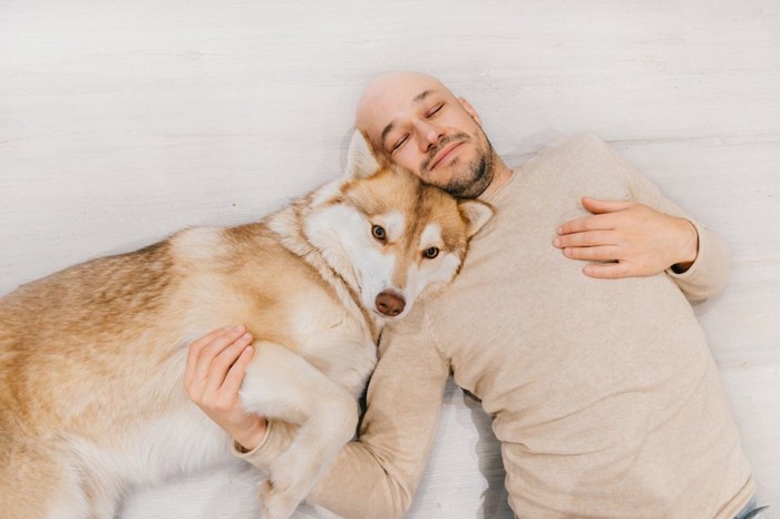 寝そべる男性とハスキー犬