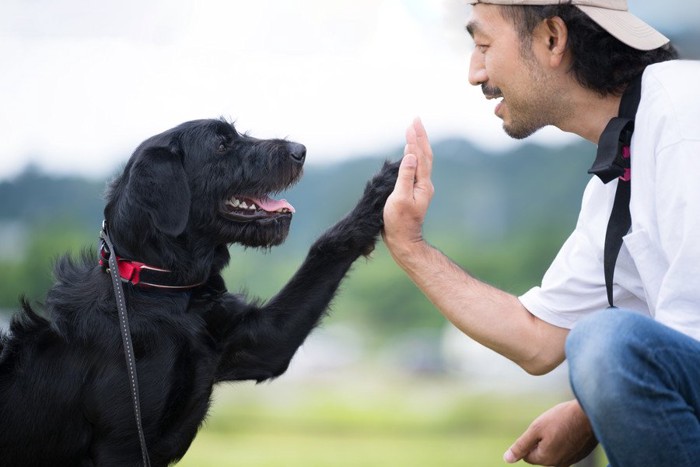 屋外でアイコンタクトを取る男性と犬