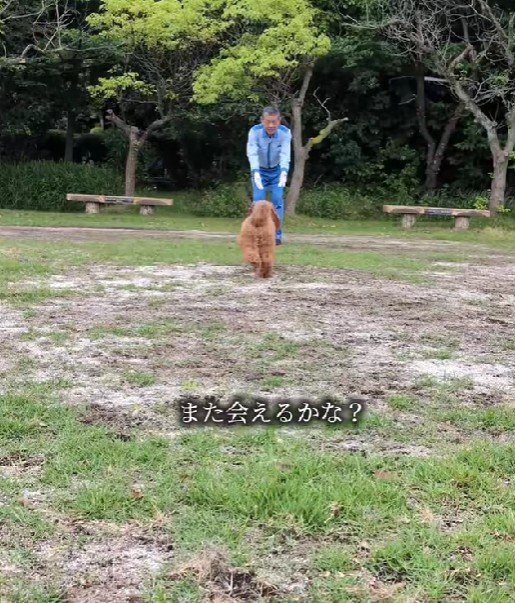 きっとまたいつか会えるね！！