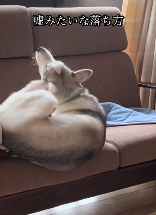 頭を搔いていたら…