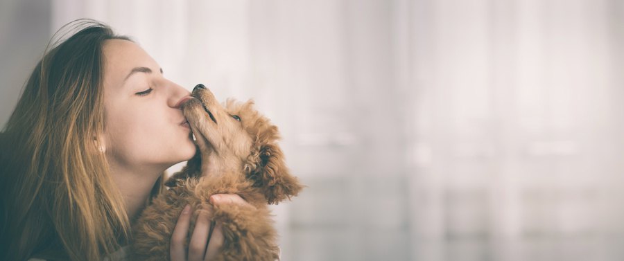 犬を抱き上げてキスする女性