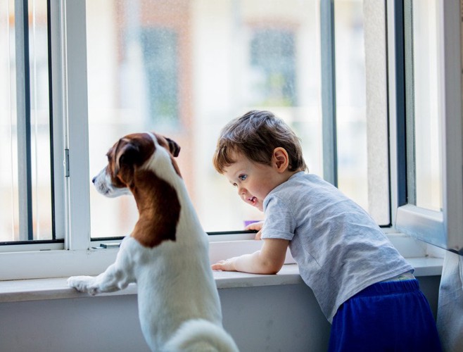一緒に窓の外を見る犬と子供