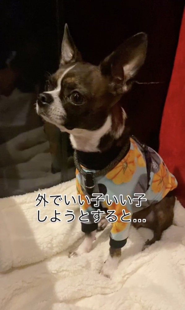 外ではツンデレ？