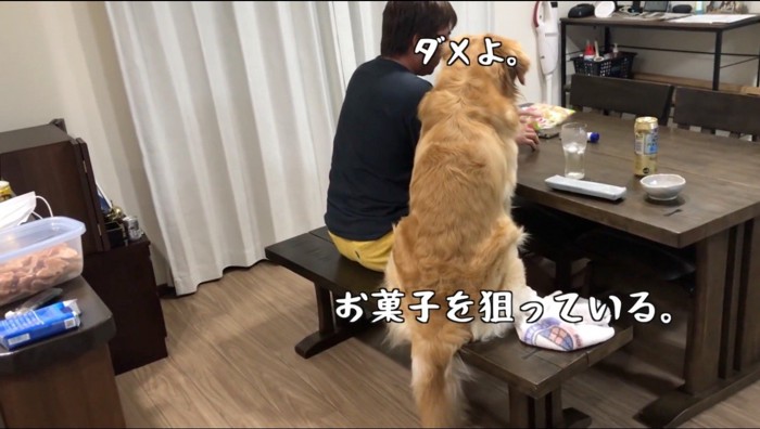 犬の目の前からお菓子の袋を遠ざける男性