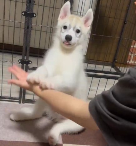 勢いよく