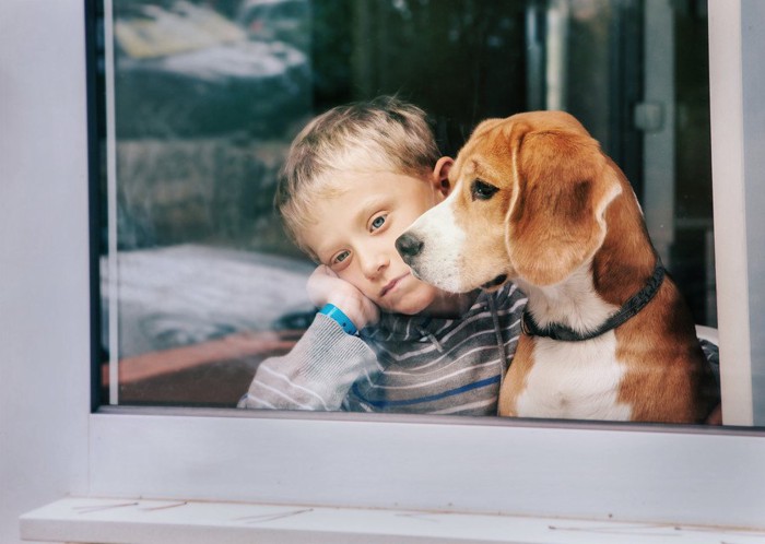 寂しそうな男の子に寄り添う犬