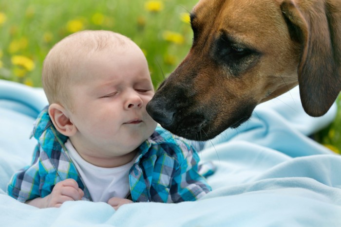 犬と人の絆