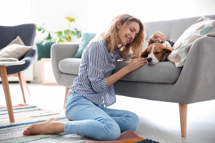 ソファーの上の犬と女性