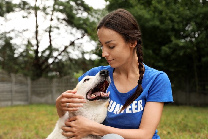 ボランティアの女性に抱かれる犬