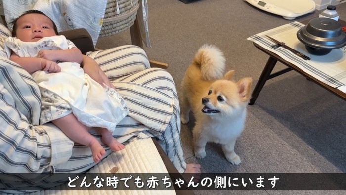 ずっと赤ちゃんのそばに♡