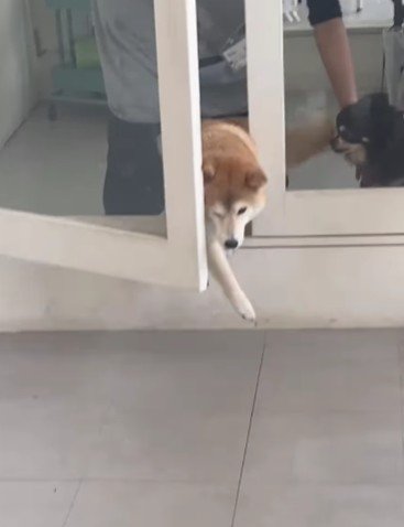 扉が開くと…