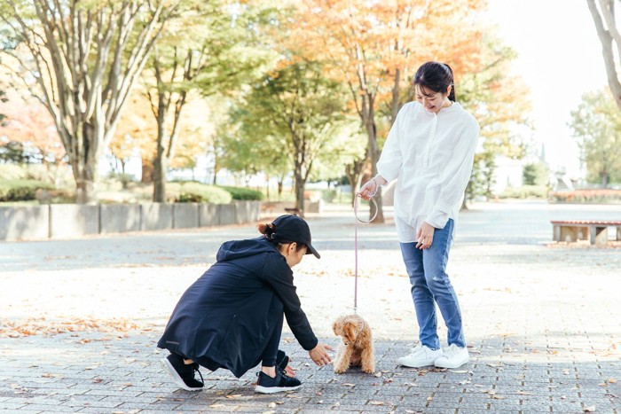 散歩中の犬に挨拶する人