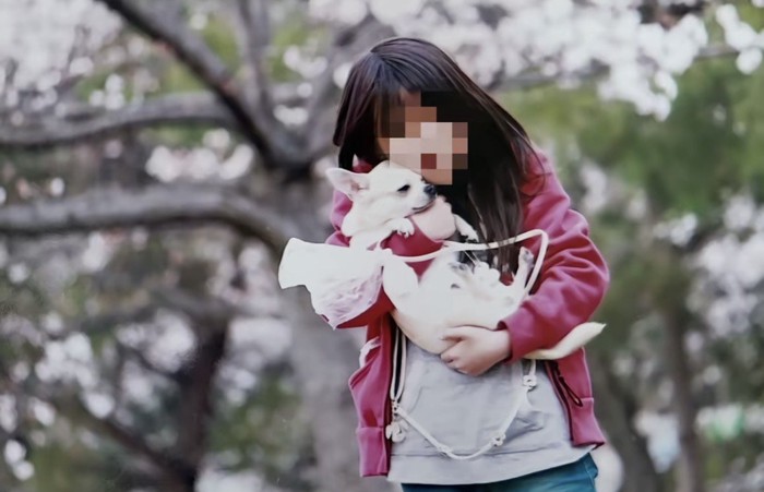 外で抱っこされる犬