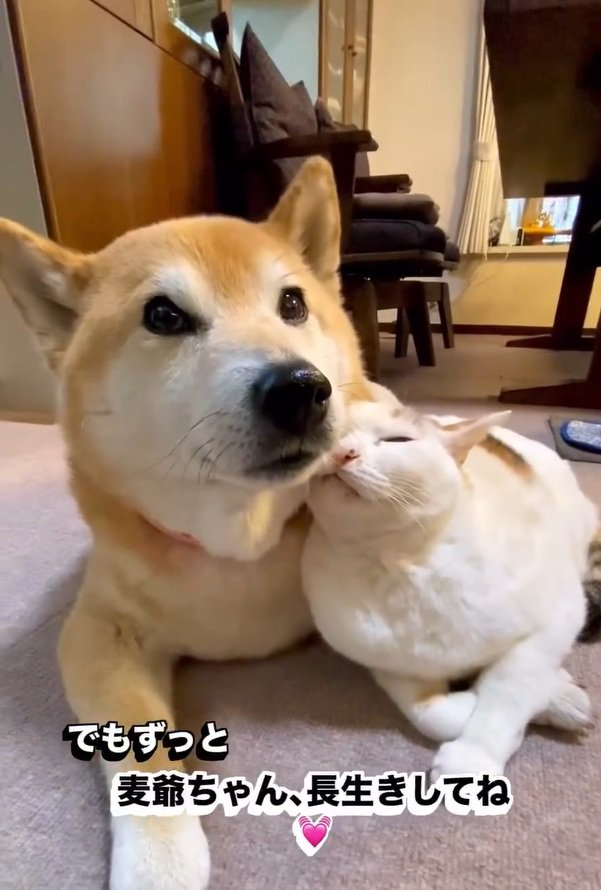 仲良しな2匹